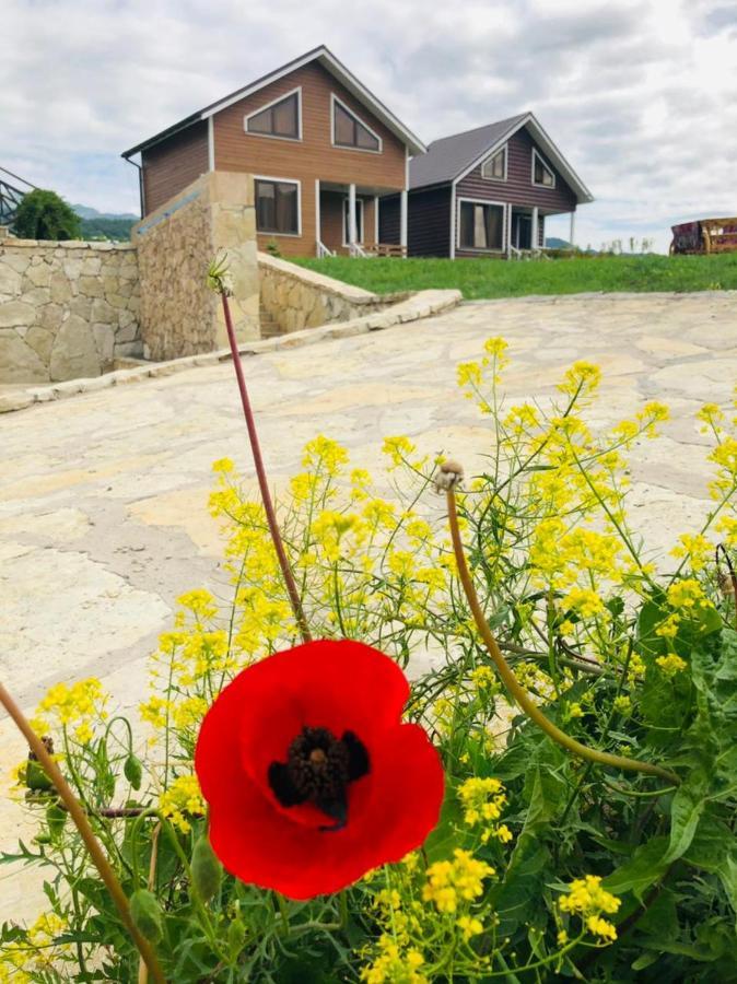 Cottage Chalet And Tours Dilijan Esterno foto